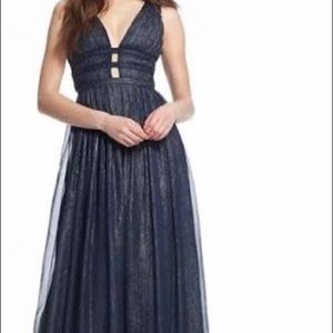 NWT Shimmering Dress!